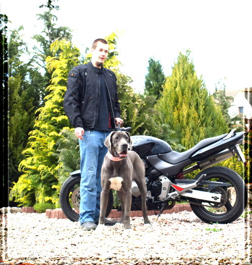 Doggenwelt - unsere Hunde - Oxana (20)