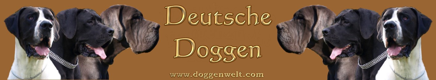 Startseite Doggenwelt - Banner3